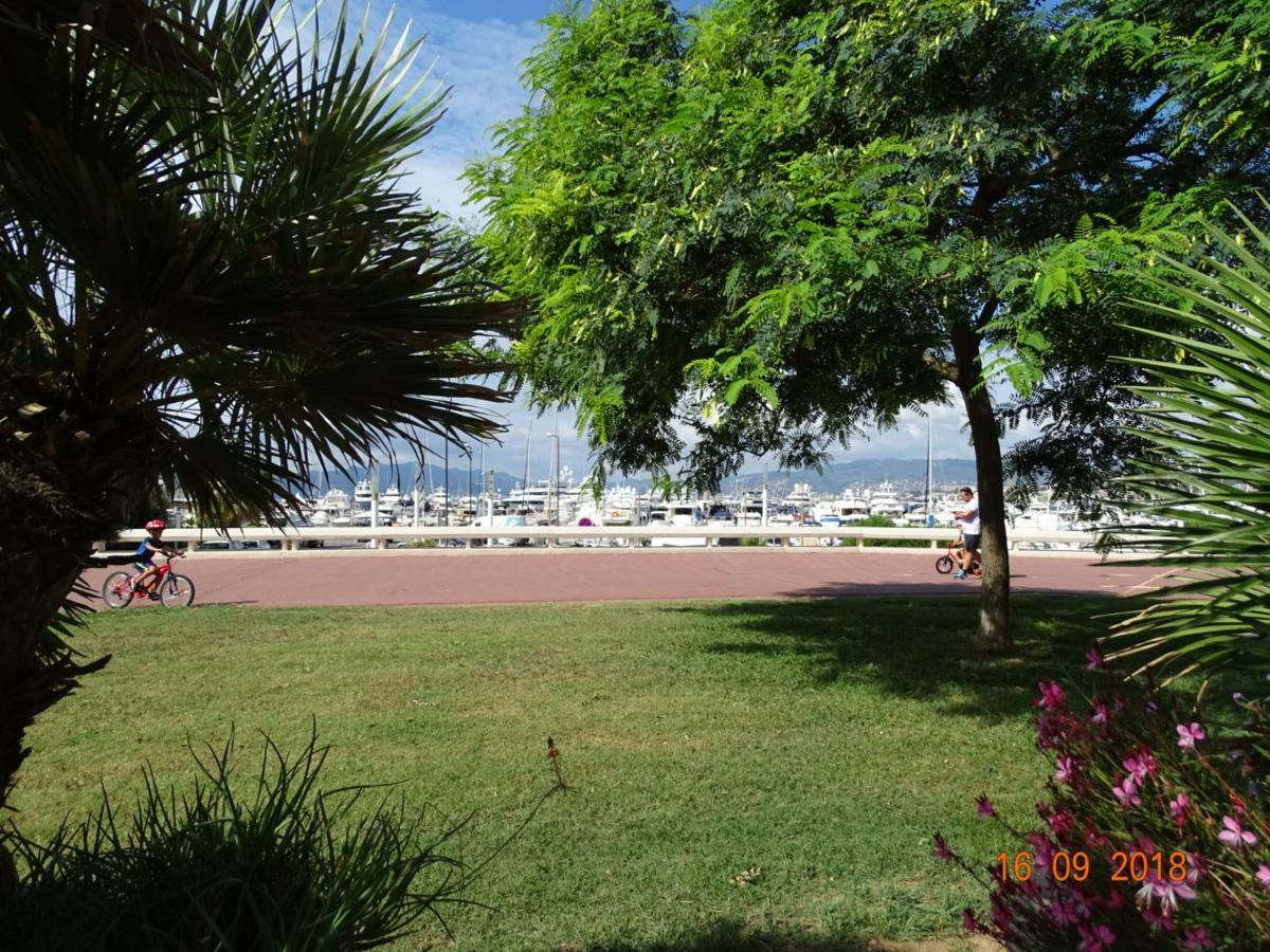 شقة Palm Beach Cannes Azur المظهر الخارجي الصورة